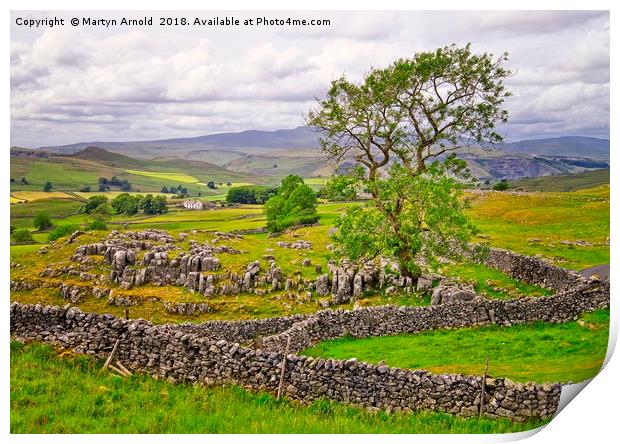 Yorkshire Dales countryside in Malhamdale Print by Martyn Arnold