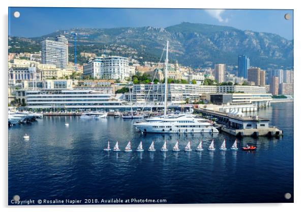 Monte Carlo sailing class Acrylic by Rosaline Napier