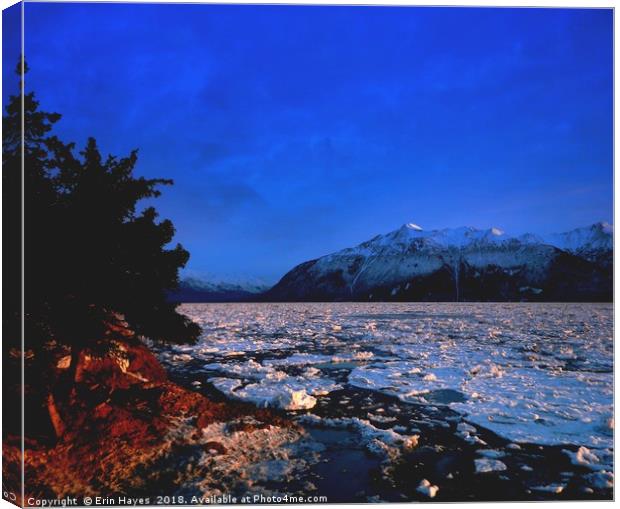Iconic Alaska Canvas Print by Erin Hayes
