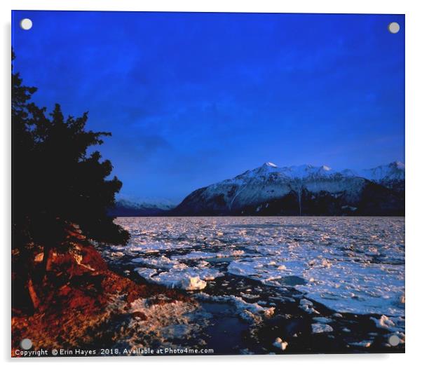Iconic Alaska Acrylic by Erin Hayes