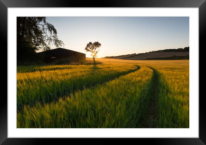 Barley field Sunstar Framed Mounted Print by Stewart Mckeown