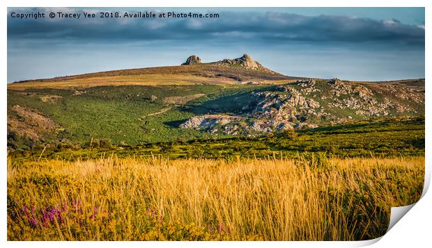 Haytor Rocks With Painted Effect. Print by Tracey Yeo