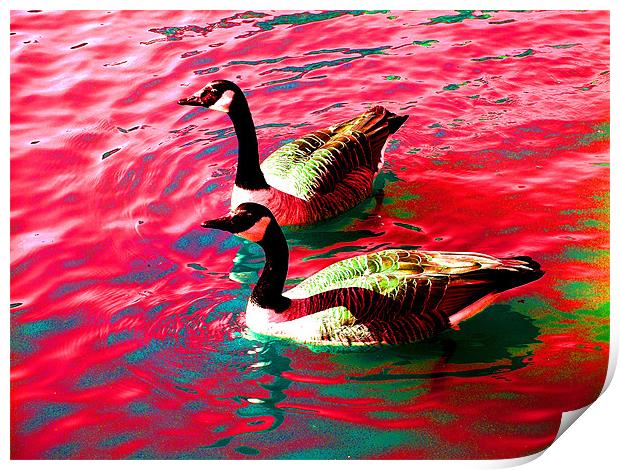 Psychedelic Geese Print by stephen walton
