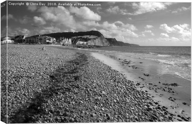Sidmouth is a town on the South Devon coast. It ha Canvas Print by Chris Day