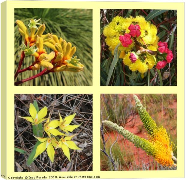 Collection of yellow Australian wildflowers Canvas Print by Ines Porada