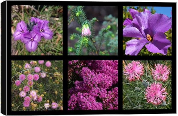 Collection of Australian wildflowers in purple Canvas Print by Ines Porada