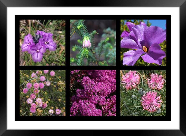 Collection of Australian wildflowers in purple Framed Mounted Print by Ines Porada