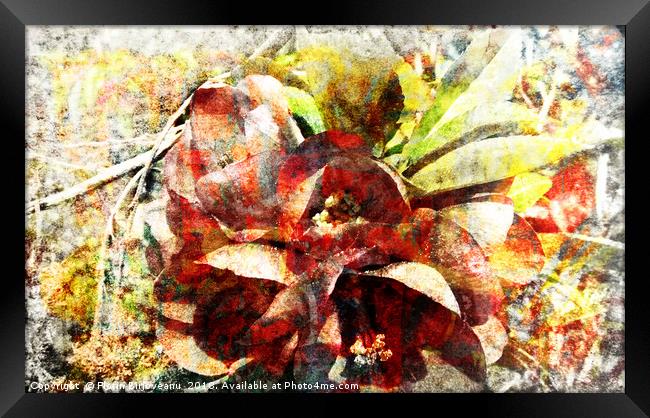 Swayed Blossom Textured 2009 Framed Print by Florin Birjoveanu