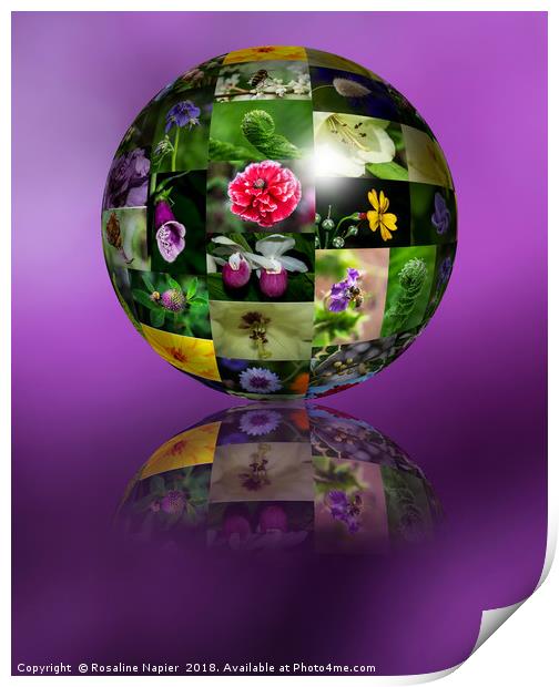 Flower montage sphere Print by Rosaline Napier