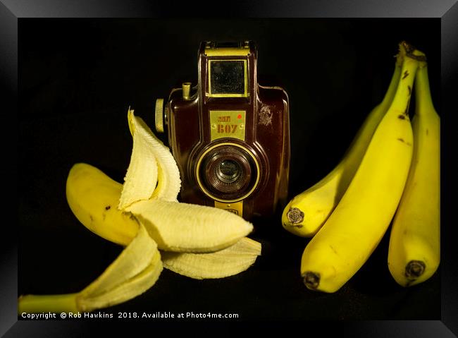 Bilora Blitz Boy and Bananas Framed Print by Rob Hawkins
