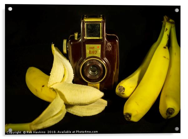 Bilora Blitz Boy and Bananas Acrylic by Rob Hawkins