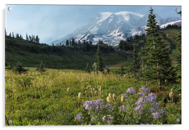 Wildflowers and Mount Rainier Acrylic by Belinda Greb