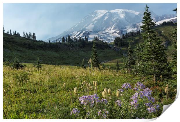 Wildflowers and Mount Rainier Print by Belinda Greb