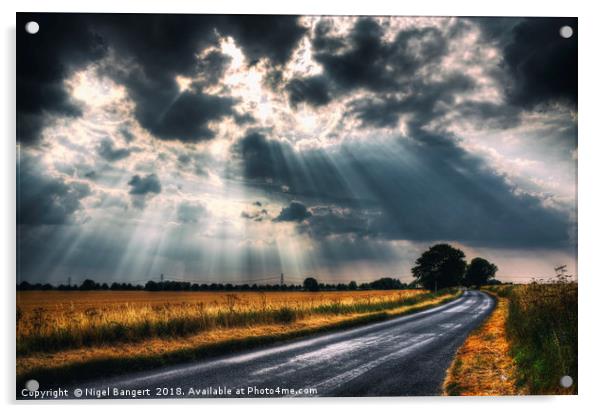 Sun Rays Acrylic by Nigel Bangert
