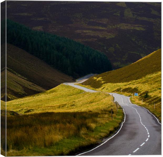 The Road to Somewhere Canvas Print by Duncan Loraine