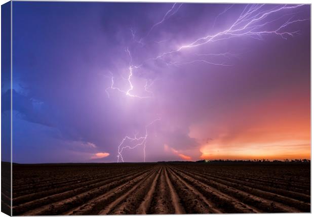 Lightning crawler over a ploughed field at sunset Canvas Print by John Finney