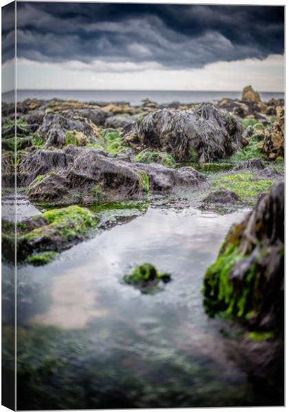 Angry Seaham Rocks Canvas Print by Duncan Loraine