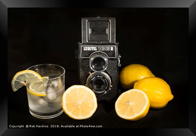 Lubitel Lemons  Framed Print by Rob Hawkins