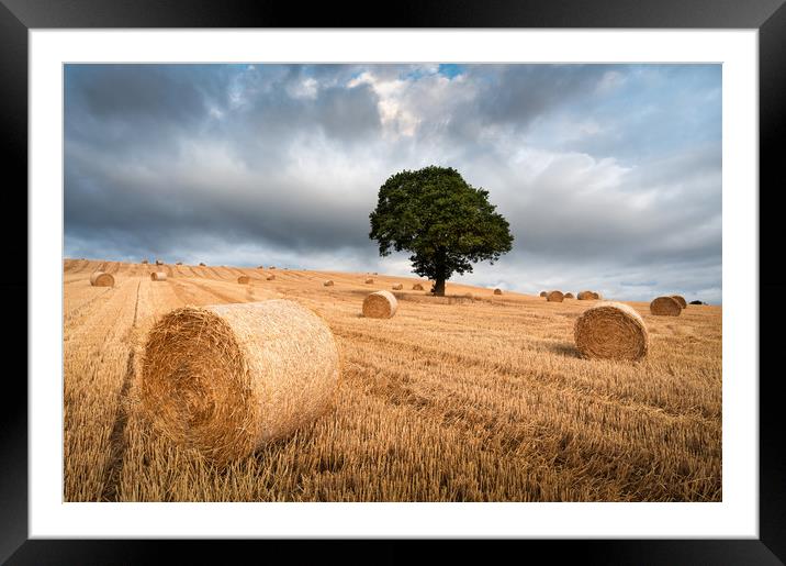 Harvest Storm Framed Mounted Print by David Semmens