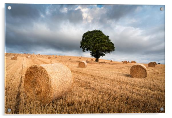 Harvest Storm Acrylic by David Semmens