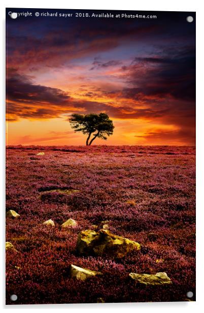 Egton Moor Sunset Acrylic by richard sayer