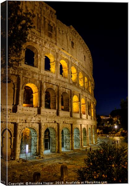 Colosseum section at night Canvas Print by Rosaline Napier