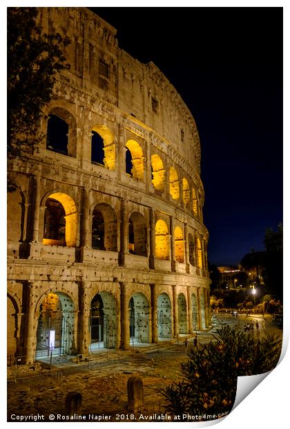 Colosseum section at night Print by Rosaline Napier
