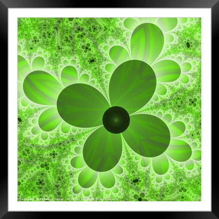 Four Leaf Clover Fractal Art Framed Mounted Print by Rosaline Napier