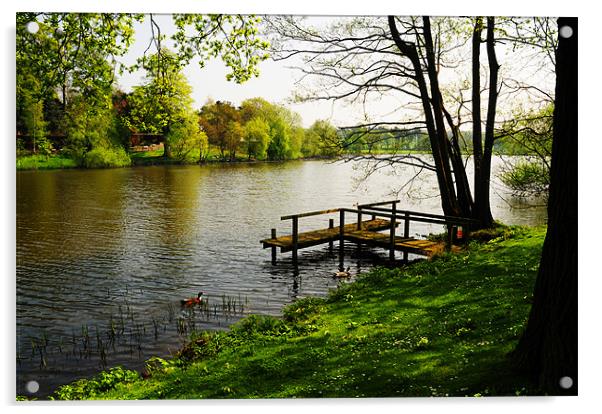 The Lake Acrylic by stephen walton