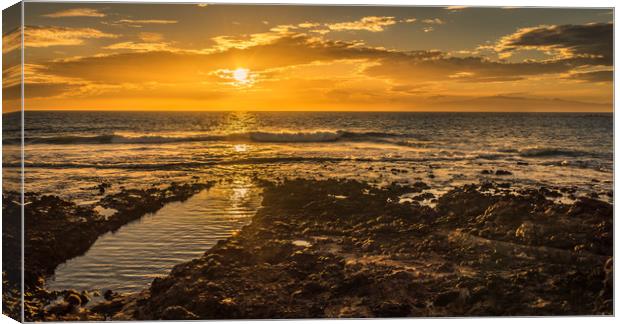 Enjoying the Sunset  Canvas Print by Naylor's Photography