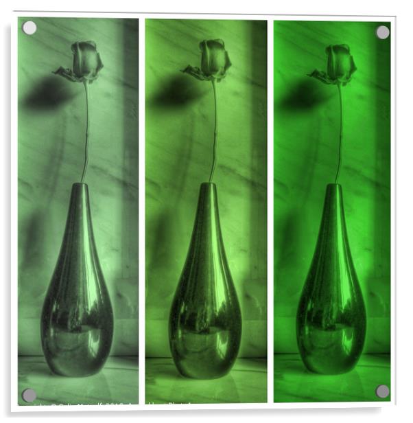 Rose Triptych in Green Acrylic by Colin Metcalf