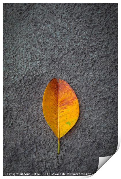 Beautiful yellow golden Banyan leaf on beach sand Print by Arun Satyal