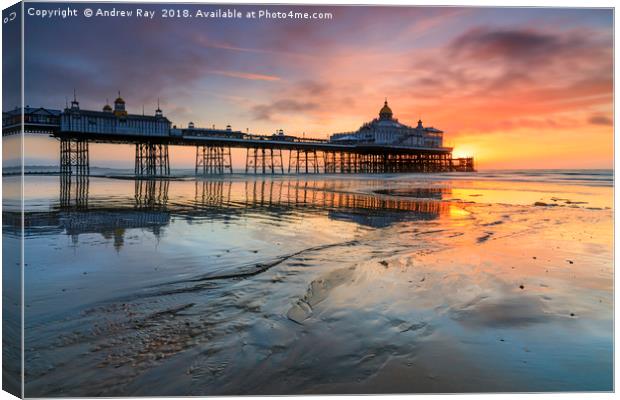 Sunrise at Eastbourne Beach Canvas Print by Andrew Ray