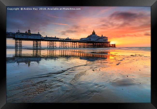 Sunrise at Eastbourne Beach Framed Print by Andrew Ray