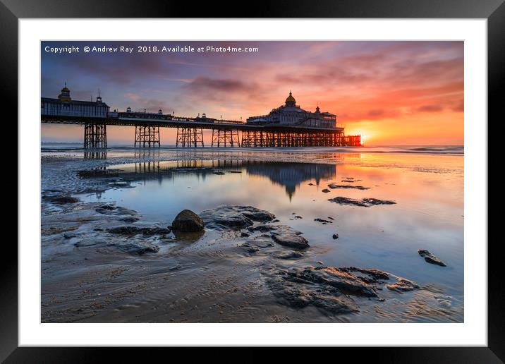 Sunrise reflections (Eastborne Pier) Framed Mounted Print by Andrew Ray