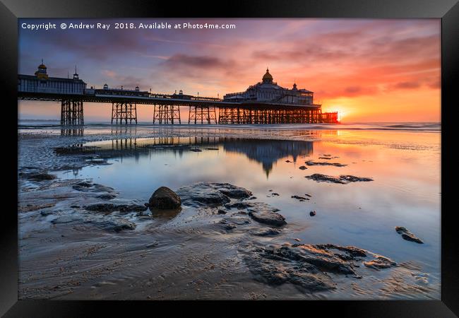 Sunrise reflections (Eastborne Pier) Framed Print by Andrew Ray