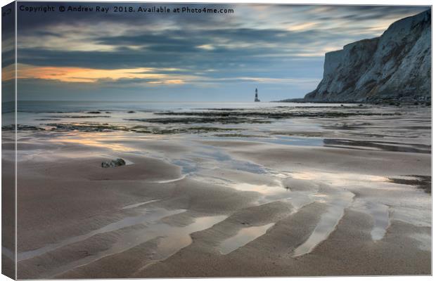 Falling Sands Beach Canvas Print by Andrew Ray