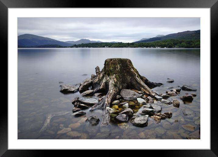 Stumped Framed Mounted Print by JC studios LRPS ARPS