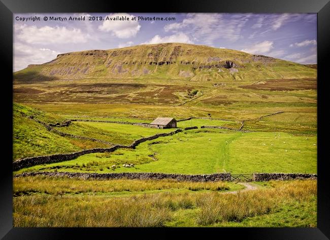 Pen-y-Ghent Yorkshire dales Framed Print by Martyn Arnold