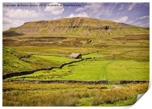Pen-y-Ghent Yorkshire dales Print by Martyn Arnold