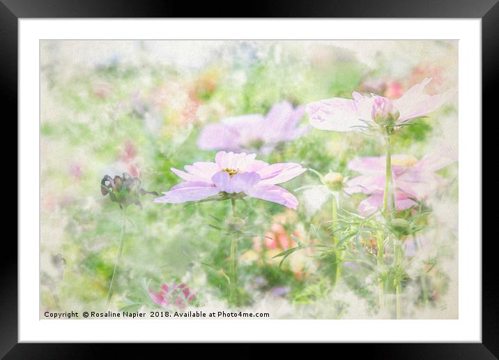 Summer wildflowers landscape Framed Mounted Print by Rosaline Napier