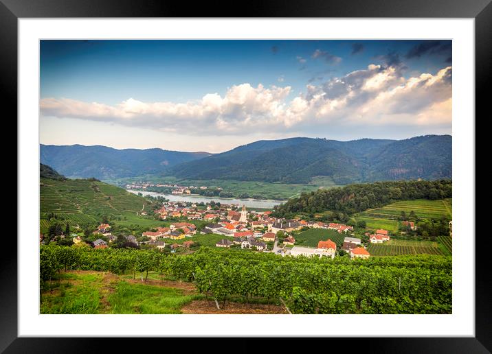 View to tonw and old church from green vineyards.  Framed Mounted Print by Sergey Fedoskin