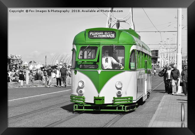 Blackpool Tram Framed Print by Derrick Fox Lomax