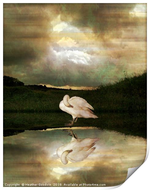 Swan Song Print by Heather Goodwin