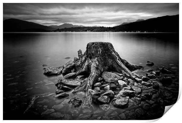 LOch Lomond stump in mono Print by JC studios LRPS ARPS