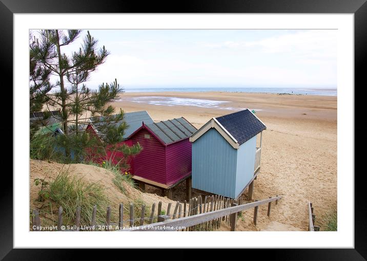 Pink and Blue Beach huts at Wells-next-the-Sea Framed Mounted Print by Sally Lloyd