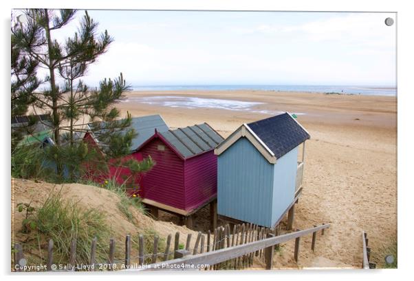 Pink and Blue Beach huts at Wells-next-the-Sea Acrylic by Sally Lloyd
