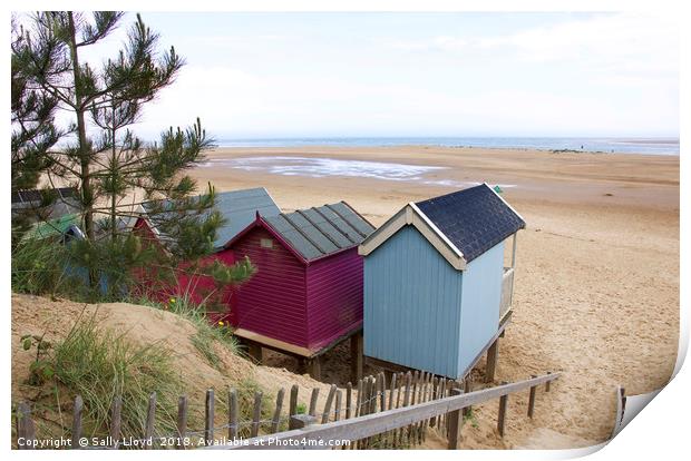 Pink and Blue Beach huts at Wells-next-the-Sea Print by Sally Lloyd