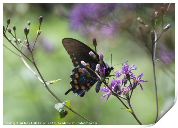 Butterfly, Buds and Petals Print by Judy Hall-Folde