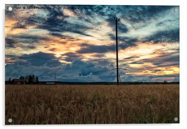 Evening By The Barley Fields Acrylic by Jukka Heinovirta